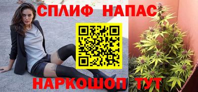 хмурый Бийск