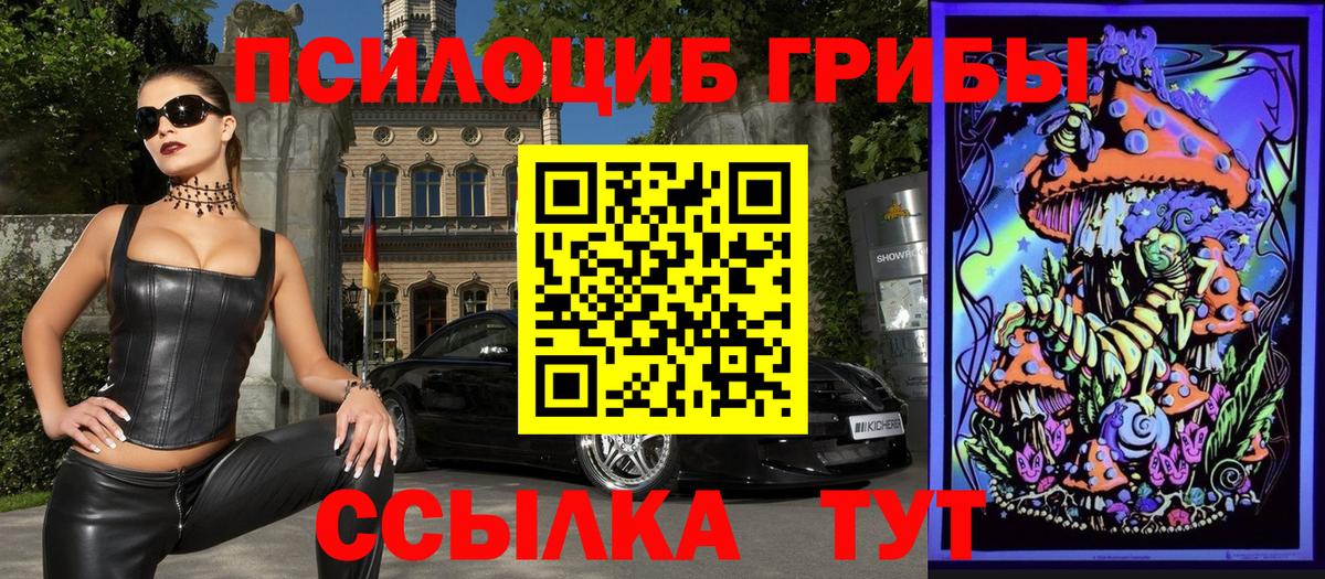 Галлюциногенные грибы мухоморы Калининград