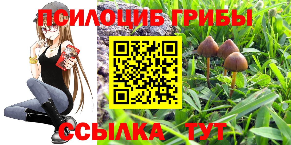 Галлюциногенные грибы Psilocybine cubensis  Псилоцибиновые грибы ЛСД  Калининград  Вход с VPN 